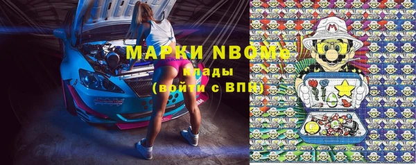 стаф Белоозёрский