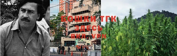 Альфа ПВП Беломорск