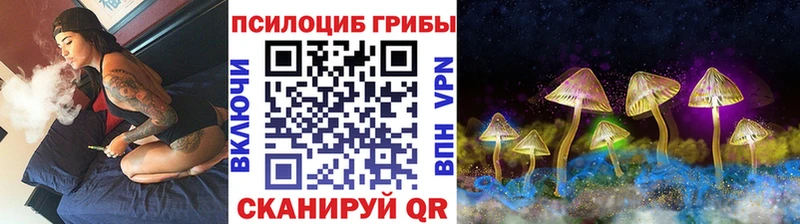 Псилоцибиновые грибы MAGIC MUSHROOMS  сколько стоит  Среднеуральск 
