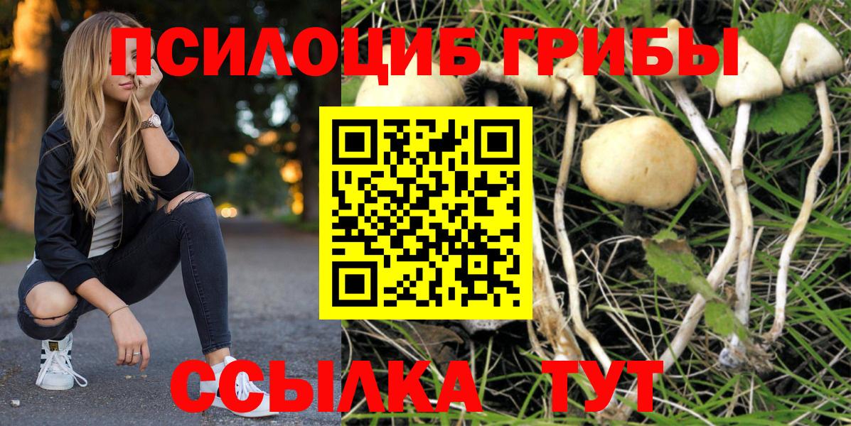 Галлюциногенные грибы Psilocybine cubensis Среднеуральск