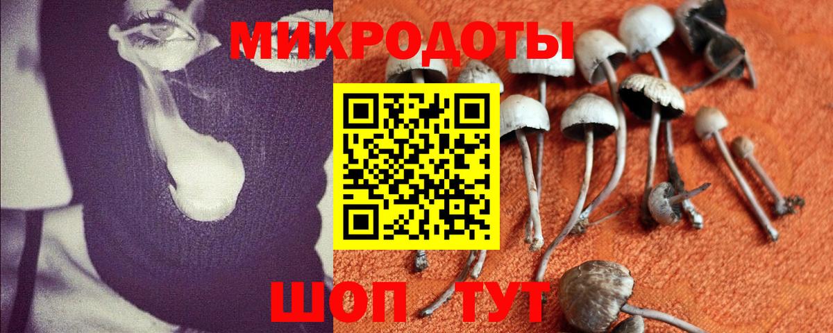 Галлюциногенные грибы GOLDEN TEACHER  Вход с VPN  Среднеуральск  Галлюциногенные грибы Magic Shrooms 