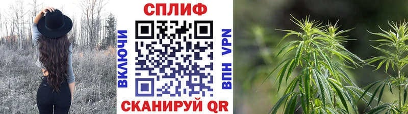 Каннабис OG Kush продажа наркотиков Среднеуральск